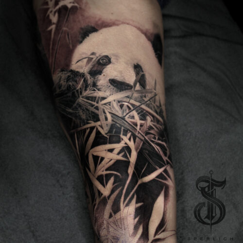 Panda Tattoo 2