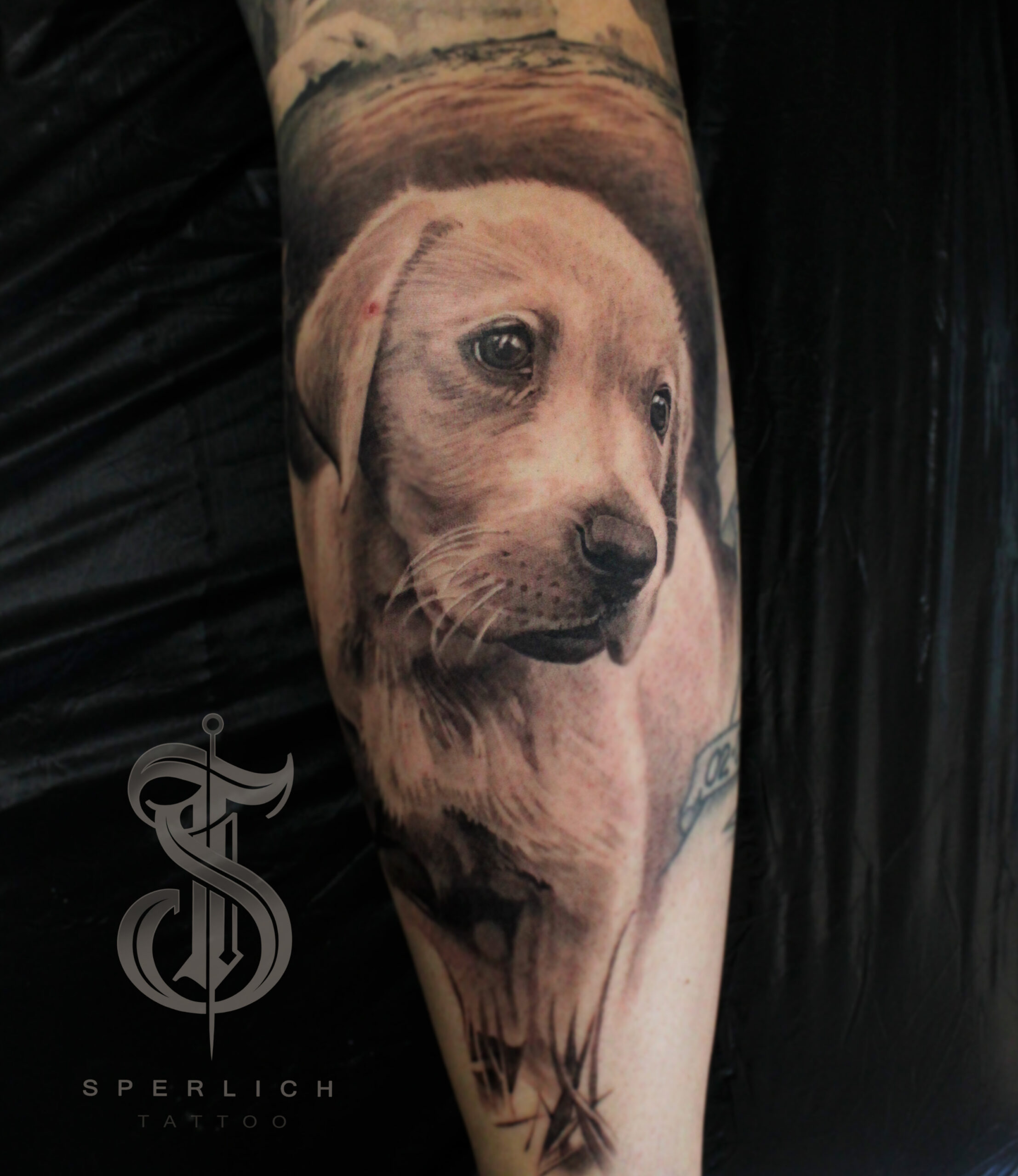 Hund Tattoo