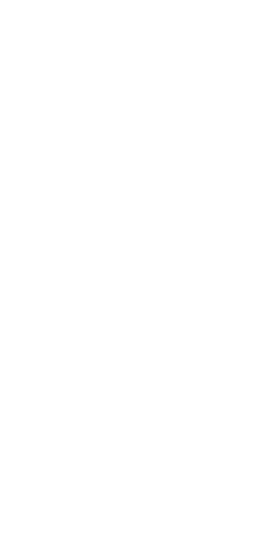 Sperlich-Tattoo-Leipzig-Logo-Slider